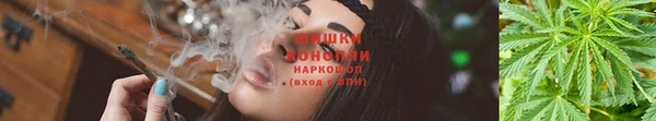 гидропоника Абаза